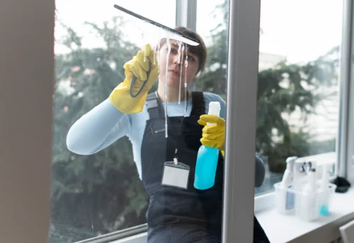 Nettoyage de vitres intérieures et extérieures à Manigod